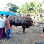 WhatsApp Image 2023-06-29 at 19.29.55