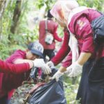 WhatsApp Image 2025-01-03 at 21.53.45