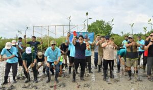 Wagub Bali I Nyoman Giri Prasta tampak berjibaku dengan lumpur untuk dapat menanam mangrove bersama wartawan di Arboretum Park, Tahura Ngurah Rai, Senin (9/3/2026) Aksi sosial ini diselenggarakan SMSI Bali dalam rangka HUT SMSI ke-9 dan Hari Pers Nasional 2026. (Foto: pan)