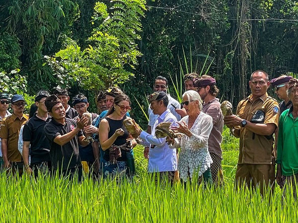 Bambu Indah Luncurkan Inisiatif Pengendalian Hama Tikus Secara Ekologis dengan Pelepasan Burung Hantu di Bongkasa